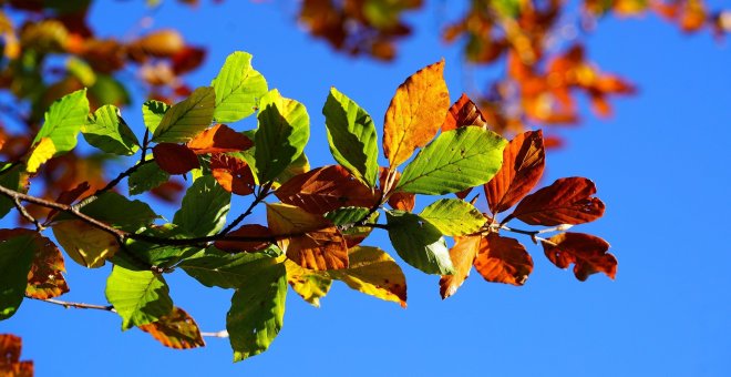 ¿Cuándo empieza el otoño este año?