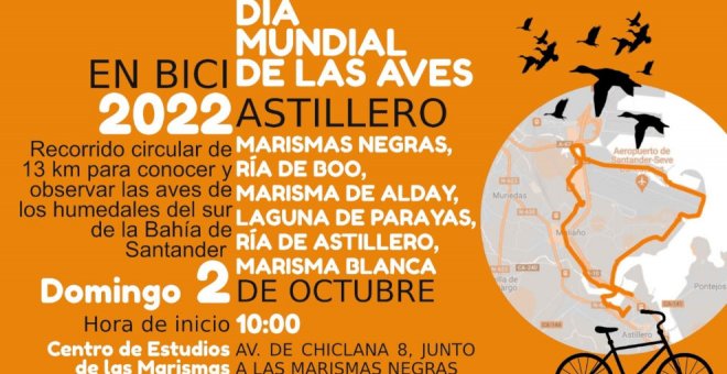 Astillero celebrará el Día Mundial de las Aves con una ruta en bici por los humedales