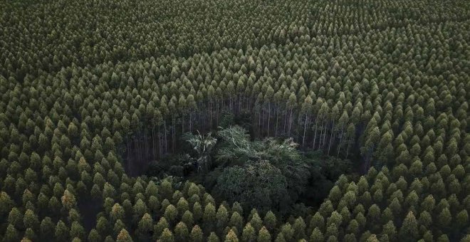 Cinco películas sobre la resistencia del Sur a la crisis climática