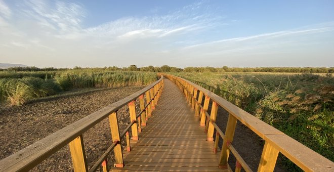 Las reservas de agua subterránea de España entran en la UCI: el 44% de los acuíferos está en mal estado