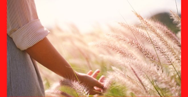 15 de octubre, Día Mundial de la Mujer Rural