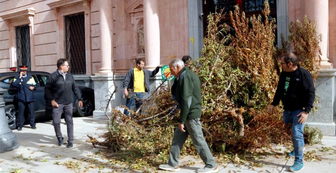 Una enmienda salva la prohibición a los campesinos de quemar restos vegetales