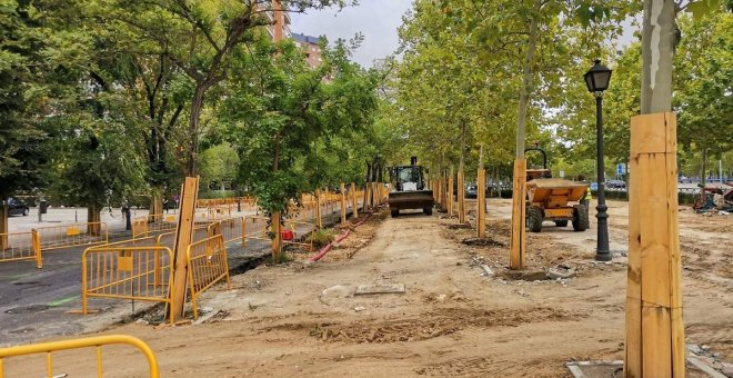 Ecologistas denuncian el "maltrato" del Ayuntamiento a la vegetación urbana