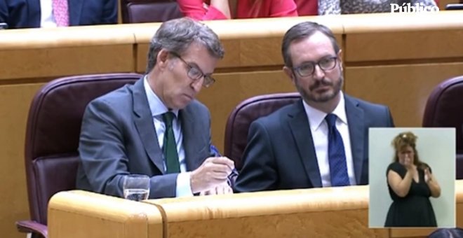 Pedro Sánchez, en el debate en el Senado: "Señor Hernando, se me había olvidado que está usted aquí"