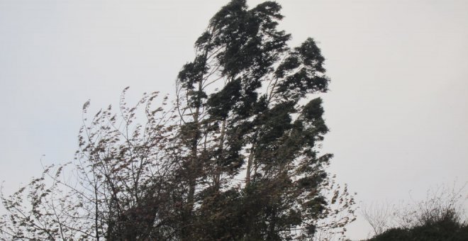 Varias zonas de Cantabria, en alerta amarilla por fuertes rachas de viento