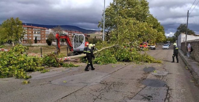 El fuerte viento provoca la intervención de los bomberos en varias incidencias en Reinosa