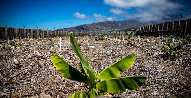 Los oligopolios de los fertilizantes ponen en jaque la producción de alimentos global mientras engordan sus beneficios