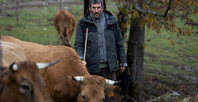 'Alcarràs' i 'As bestas', entre les pel·lícules amb més nominacions als Premis Goya