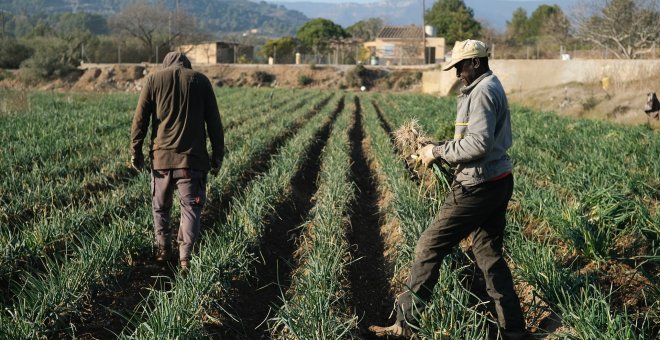 El campo catalán, al límite por los elevados costes de producción y la climatología extrema