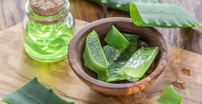 ¿Para qué sirve el aloe vera? Beneficios y propiedades de esta planta