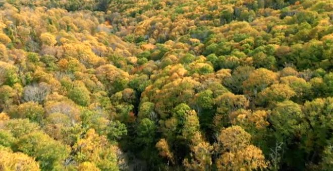 El esplendor del otoño en la naturaleza