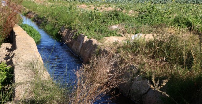 Preocupació en el sector primari per l'ampliació de l'alerta per sequera a bona part de Catalunya