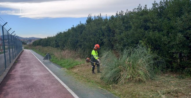 El Ayuntamiento realiza labores de poda, siega y desbroce en varias zonas del municipio