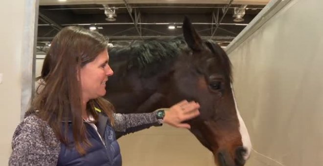 Caballos que son verdaderos atletas, protagonistas únicos de la Horse Week