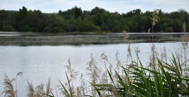 El plan del Tajo mantiene lo acordado sobre caudales ecológicos y sale adelante con el respaldo de Castilla-La Mancha