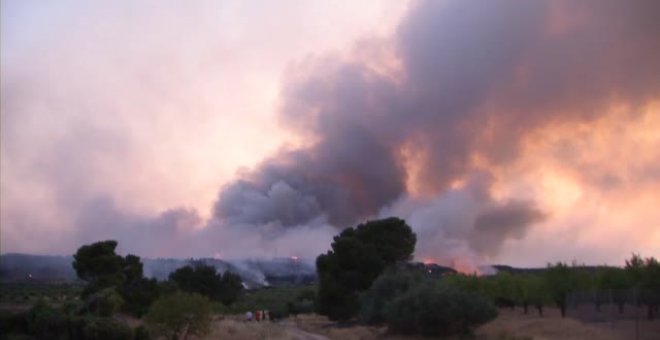 Los incendios de verano dejan sin alimento a ciervos y corzos