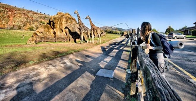 Cabárceno bate su récord histórico de noviembre, con 22.122 visitantes