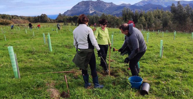 La Sierra de la Vida supera el millar de árboles tras sumar 200 ejemplares