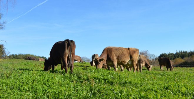 La Xunta denegó a los agricultores ecológicos de Galicia más de la mitad de las ayudas de la UE que solicitaron