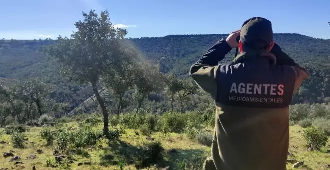 Denunciados tres furtivos por cazar en línea de retranca en una montería autorizada en el coto social de Sevilleja de la Jara