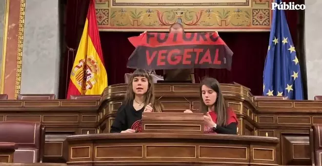 Militantes de Futuro Vegetal se pegan al atril del Congreso de los Diputados