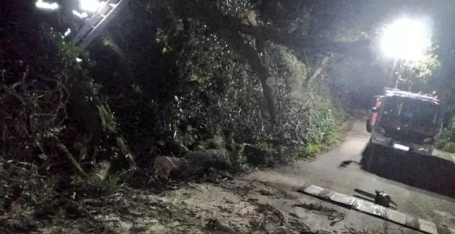 Los bomberos retiran dos árboles caídos sobre la vía, cableado y una terraza en Lloreda