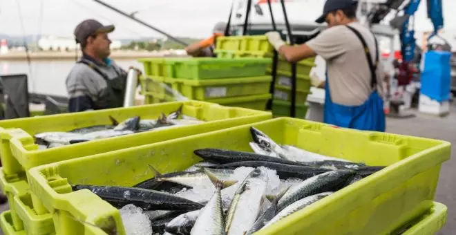 Ayudas de 200.000 euros a las Cofradías para modernizar el sector de la pesca