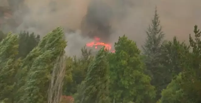 Siete muertos en los incendios que asolan Chile