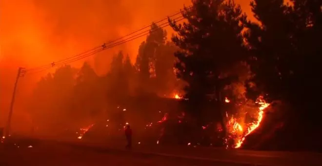 Los incendios forestales siguen avanzando sin control en Chile