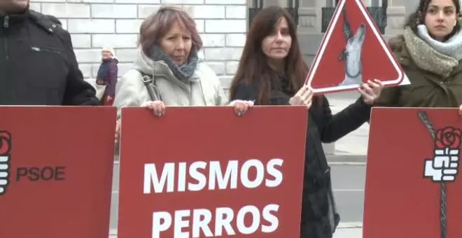 Una veintena de animalistas protestan frente al Congreso contra la Ley de Bienestar Animal