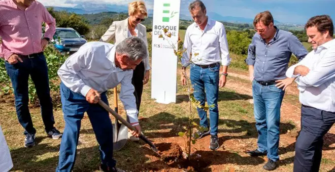 Cantabria se cuela en los Premios Goya con el proyecto 'El bosque del cine español'