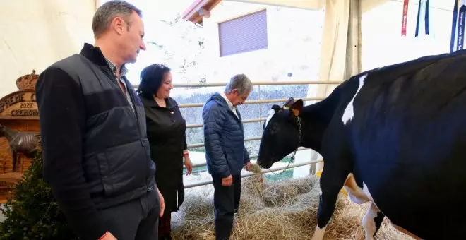 Un taller de quesadas, un duelo de ordeño y un mercadillo en la VI Feria de la Leche