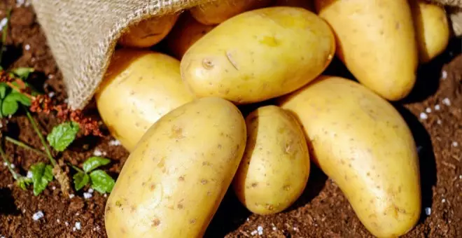 Dia niega el fraude en la venta de patatas: "No tenemos en el surtido actual patata nueva"