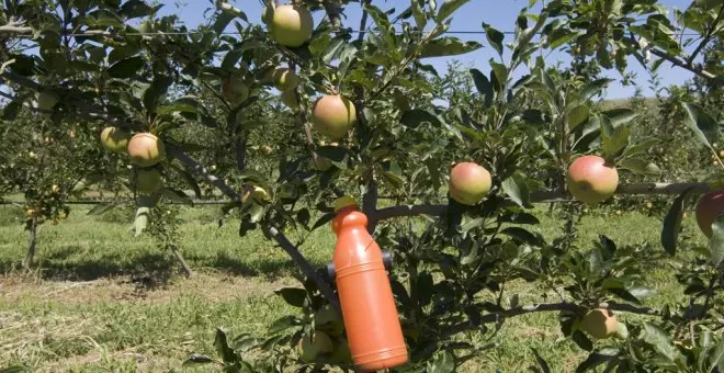 La inflació 'arracona' les preferències ecològiques en la cistella de la compra dels consumidors catalans