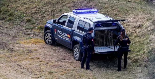 Detenido un hombre por matar a un perro delante de su dueña de 12 años en Jerez