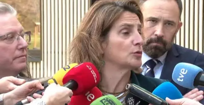 Ribera: "Hay que introducir un límite de renta" para cobrar el bono de familias numerosas