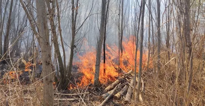 Risc molt alt d'incendi forestal a 18 comarques del centre i sud de Catalunya