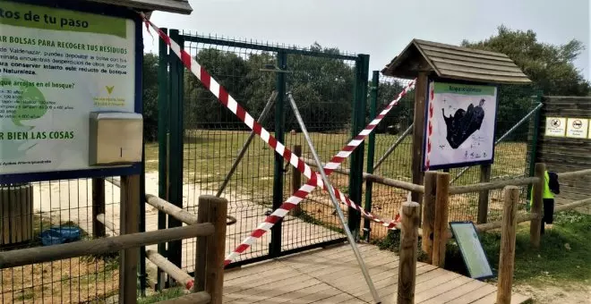 Cerrado por descanso ecológico, un bosque alcarreño se toma un respiro para recobrar su equilibrio y facilitar la cría