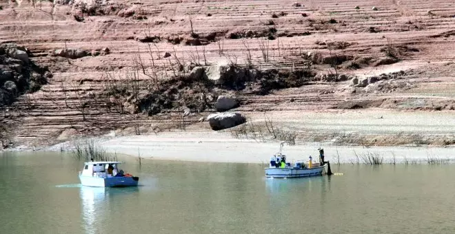 Retiren 2,6 tones de peixos del pantà de Sau durant els primers quinze dies de dispositiu