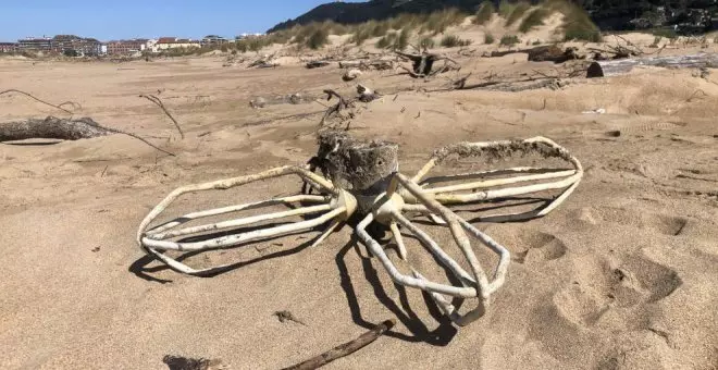 Unidos por Laredo denuncia el estado de "suciedad" de la playa Salvé