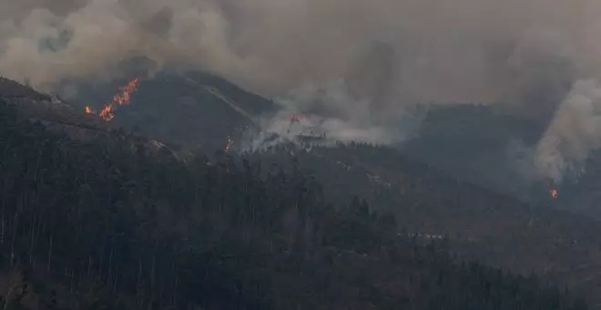 Razones que queman: reflexiones y propuestas en torno a los incendios en Asturies