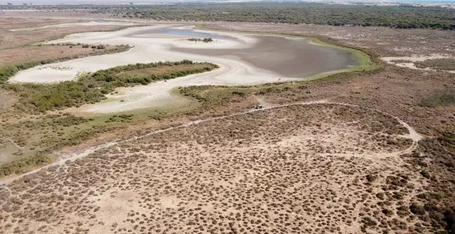 El Gobierno abre la puerta a intervenir en Doñana y aplicar un '155 ambiental'