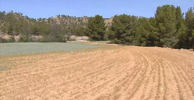 Agricultura convoca de urgencia a Cooperativas agroalimentarias, comunidades de regantes y autonomías ante la preocupante sequía