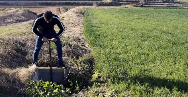 Els pagesos substitueixen el panís per l'ordi i el blat per garantir-se la collita davant l'emergència hídrica