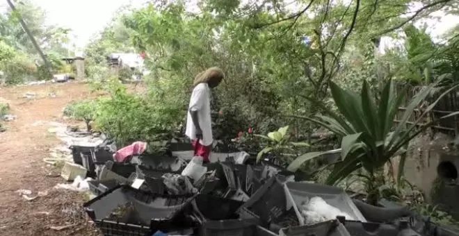 Un florista en Camerún convierte carcasas de monitores viejos en macetas para plantas