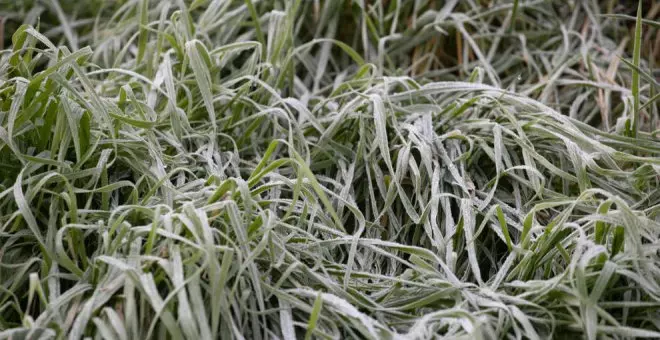 Reinosa amanece con -1,4º, la temperatura más baja de España