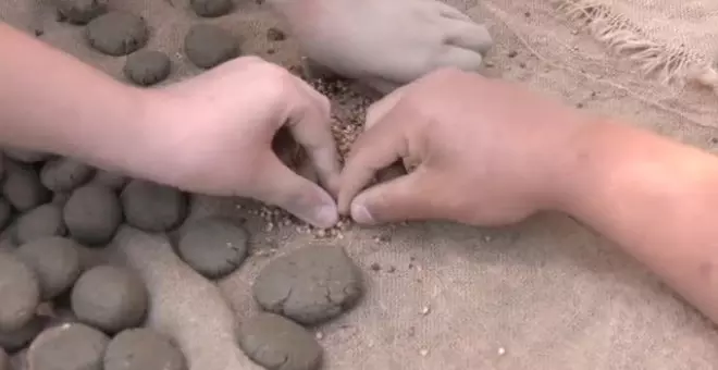 Voluntarios y escolares de Estepona reforestan la Sierra Bermeja con el método "Nendo Dango"