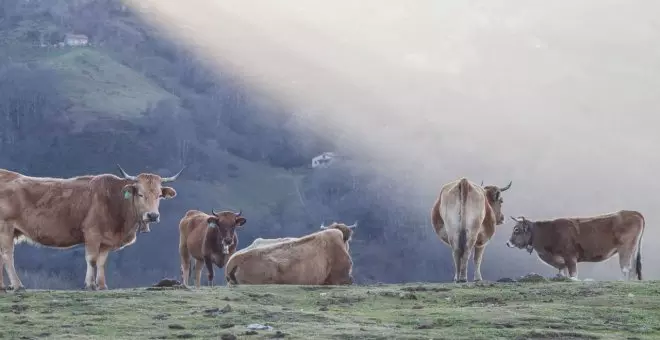 Cantabria, Asturies y Galicia se unen para pedir una PAC más flexible