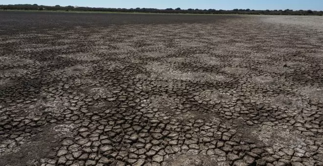 La vicepresidenta Ribera reclama a Moreno Bonilla que llame al Parlamento a los expertos en Doñana en lugar de a ella