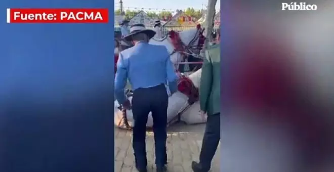 Dos hombres patean a un caballo agotado que se desplomó durante la Feria de Abril de Sevilla